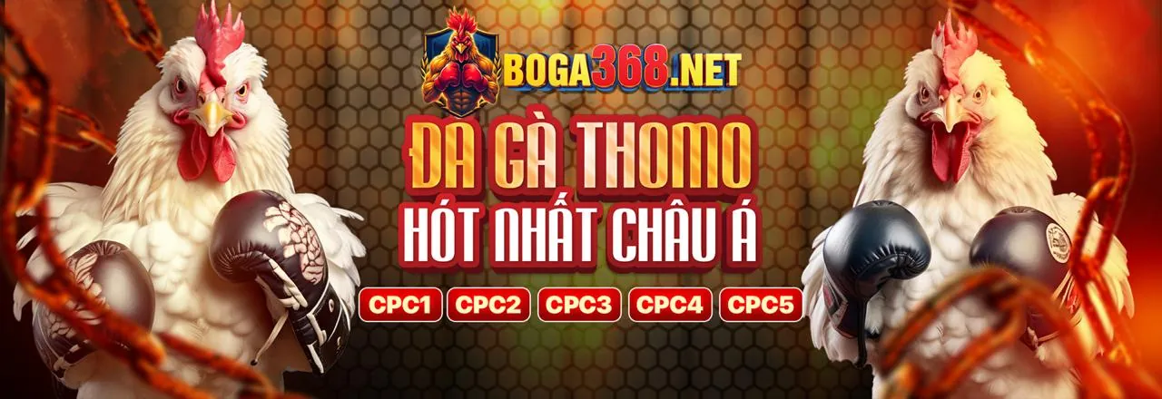 Đá gà kịch tính tại M888 Login